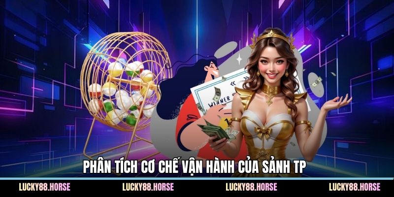 Phân tích cơ chế vận hành của sảnh TP 